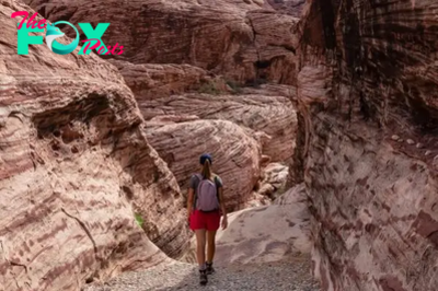 8 Fun Things to Do in Red Rock Canyon