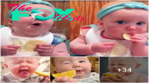QT The adorable baby’s reaction to the lemon delighted millions of people. – Newspaper World