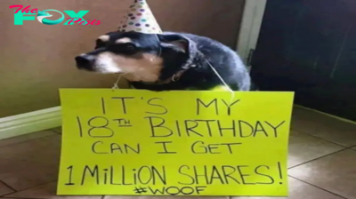 Today is my birthday 🎂🎈 They said if I want to be happy I have to reach 1 million shares, is that difficult.hanh