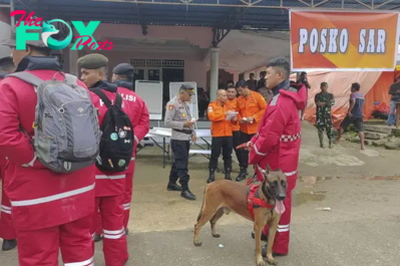 At Least 11 Dead, 19 Injured After Landslide at Illegal Gold Mine in Indonesia