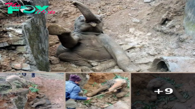 Indian Villagers Save Baby Elephant Stuck in Muddy Ditch