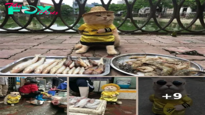 Meet Dog – The World’s Most Popular Fish Vendor