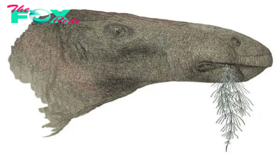 UK discovers its 'most complete' dinosaur in a century