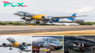 Embraer E-190-E2: A Stunning Showcase of Flight’s Artistic Innovation.hanh