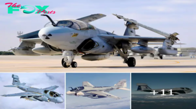 Conquering the Skies: The Enduring Legacy of the EA-6B Prowler.hanh