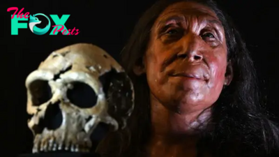 Who were the Neanderthals, our extinct human relatives?