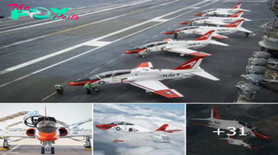 US Navy Training Air Wing 2 Completes One Million Hours in T-45 Goshawk.hanh