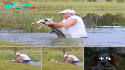 Man Pries Open Gator’s Mouth To Save Tiny Pup After Gator Dragged Him Into Pond