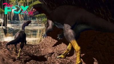 Pair of dog-size dinosaurs likely crushed to death in underground burrow collapse
