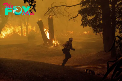 California Reports First Wildfire Death of the 2024 Season as Fires Persist Across the West