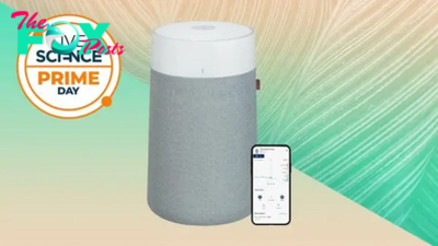 Best budget air purifier: Now 30% cheaper with this Prime Day air purifier deal