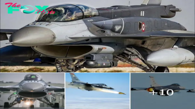 Supreme Predator: The Rise of the F-16 Fighter Jet – Mastering the Skies (VIDEO).hanh