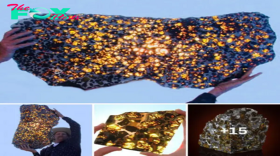 Unveiling the $2 Million Marvel: The Enigmatic Beauty of the 925-Pound Fukang Meteorite.hanh