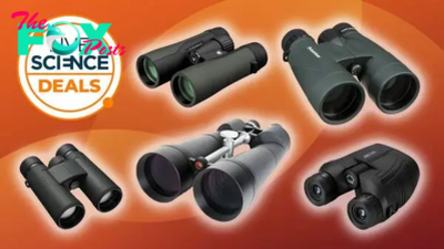 These are the cheapest binocular deals you can buy
