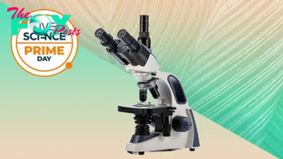 Spotted: $150 off this amazing research-grade Swift SW380T microscope