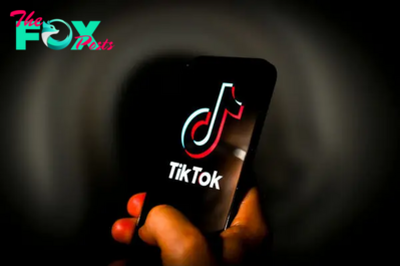 Malaysia Looks to Criminalize Cyberbullying After TikTok User’s Death