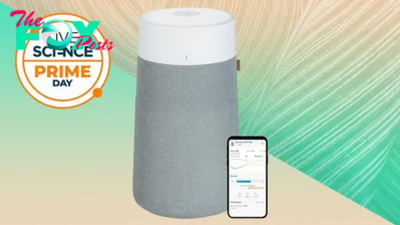 Post-Prime Day exclusive deal: BlueAir air purifier over 30% off