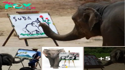 Heartfelt Brushstrokes: Suda and Her Elephant Family’s Artistic Journey