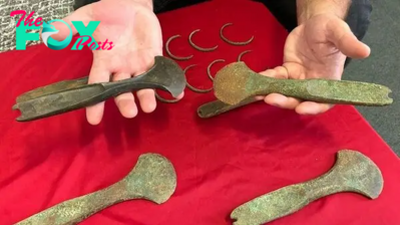 3,600-year-old jewelry and weapon hoard found under field in Czech Republic