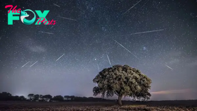 Perseid meteor shower 2024: What it is, where to see it, and how to watch