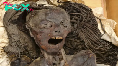 Egypt’s ‘screaming’ mummy woman may have died in pain and spasms