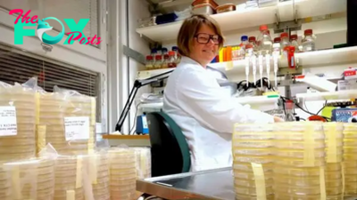 Bacteria that switch antibiotic resistance on and off are going undetected. Microbiologist Karin Hjort is on a mission to find out how they do it.