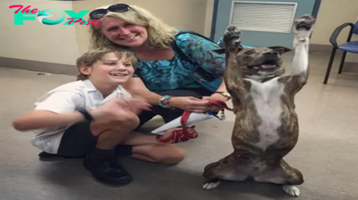 From shelter to happiness: Millo’s 478-day journey ends with a dance of joy as his foster family hugs him, stirring hearts online.hanh