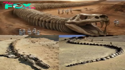 Massive 82-Foot Serpent Skeleton Discovered Near the Sahara Desert.lamz