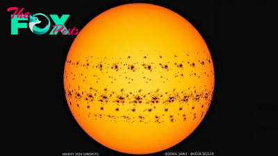 Sunspots surge to 23-year high as solar maximum continues to intensify far beyond initial expectations