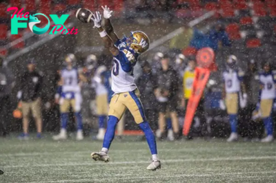 Winnipeg Blue Bombers vs Saskatchewan Roughriders Prediction 9-7-24 CFL Picks