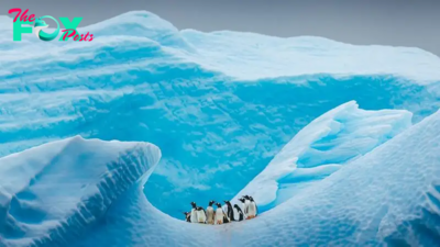 When was the last time Antarctica was ice-free?