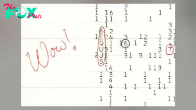 Infamous 'Wow! signal' that hinted at aliens may actually be an exceptionally rare cosmic event