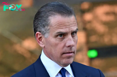 Documentary Shows Hunter Biden in Emotional Meeting With His One-Time Tormentor