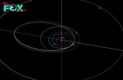 'Potentially hazardous' asteroid the size of a blue whale to skim past Earth on Tuesday