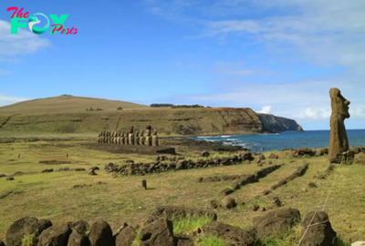 Easter Island's population never collapsed, but it did have contact with Native Americans, DNA study suggests