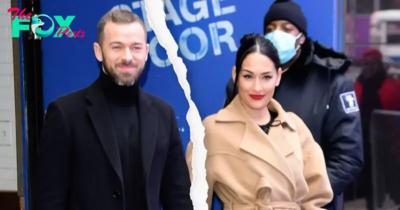 Nikki Bella Files for Divorce From Artem Chigvintsev After 2 Years of Marriage and His Arrest