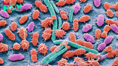 Scientists invent tool to see how 'healthy' your gut microbiome is — does it work?