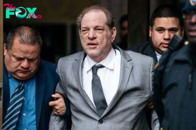 Harvey Weinstein faces new criminal charges after rape conviction reversal