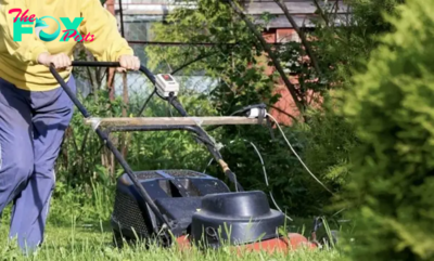 The HOA President Fined Me Over My Lawn – I Provided Him with More Reasons to Pay Attention