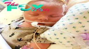 Parents say goodbye to their newborn as life support is switched off, then he starts breathing immediately