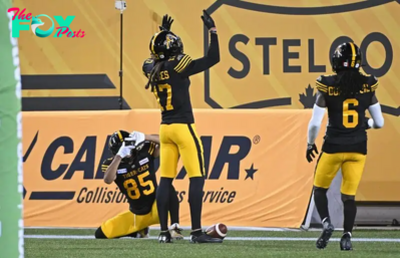 Hamilton Tiger-Cats vs Ottawa Redblacks Prediction 9-14-24 CFL Picks