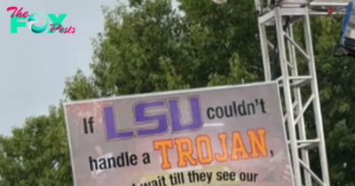 Controversial LSU Sign Goes Viral During College Football Saturday