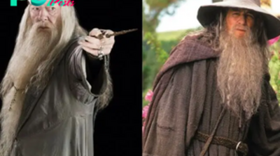 Dumbledore vs Gandalf: Pubity’s Instagram poll sparks debate on who would win