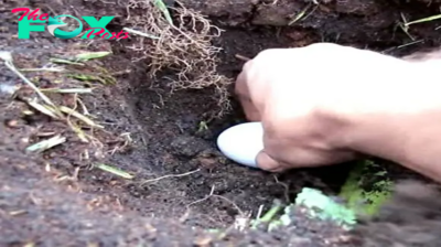 He dug a hole in the ground and put a banana and a raw egg in it. It seems strange what he does, but the result is incredible!