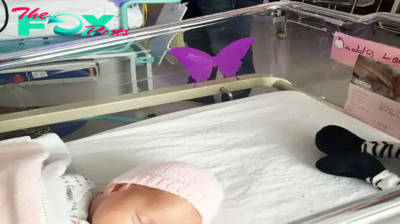 If you see a purple butterfly sticker near a newborn, you need to know what it means