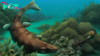 80 million-year-old sea monster jaws filled with giant globular teeth for crushing prey discovered in Texas