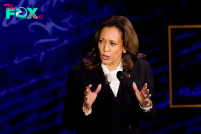 How Kamala Harris Can Sharpen Her Economic Case