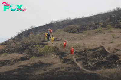 Peru Struggles to Fight Nationwide Wildfires That Have Left 15 People Dead Since July