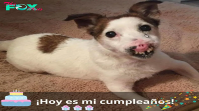 Si fuera más hermosa, quizá recibiría muchos buenos deseos en mi cumpleaños.lamz