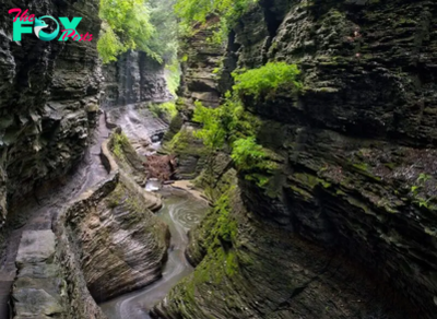 8 Best Things to Do in Watkins Glen State Park